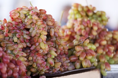 Photo of Fresh ripe juicy grapes on tray against blurred background