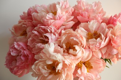 Beautiful pink peony flowers near white wall, closeup