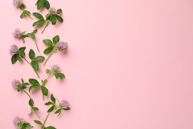 Photo of Beautiful clover flowers with green leaves on pink background, flat lay. Space for text