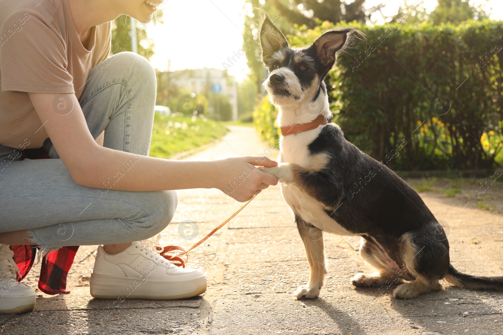 Photo of Teenage girl with her cute dog in park, closeup