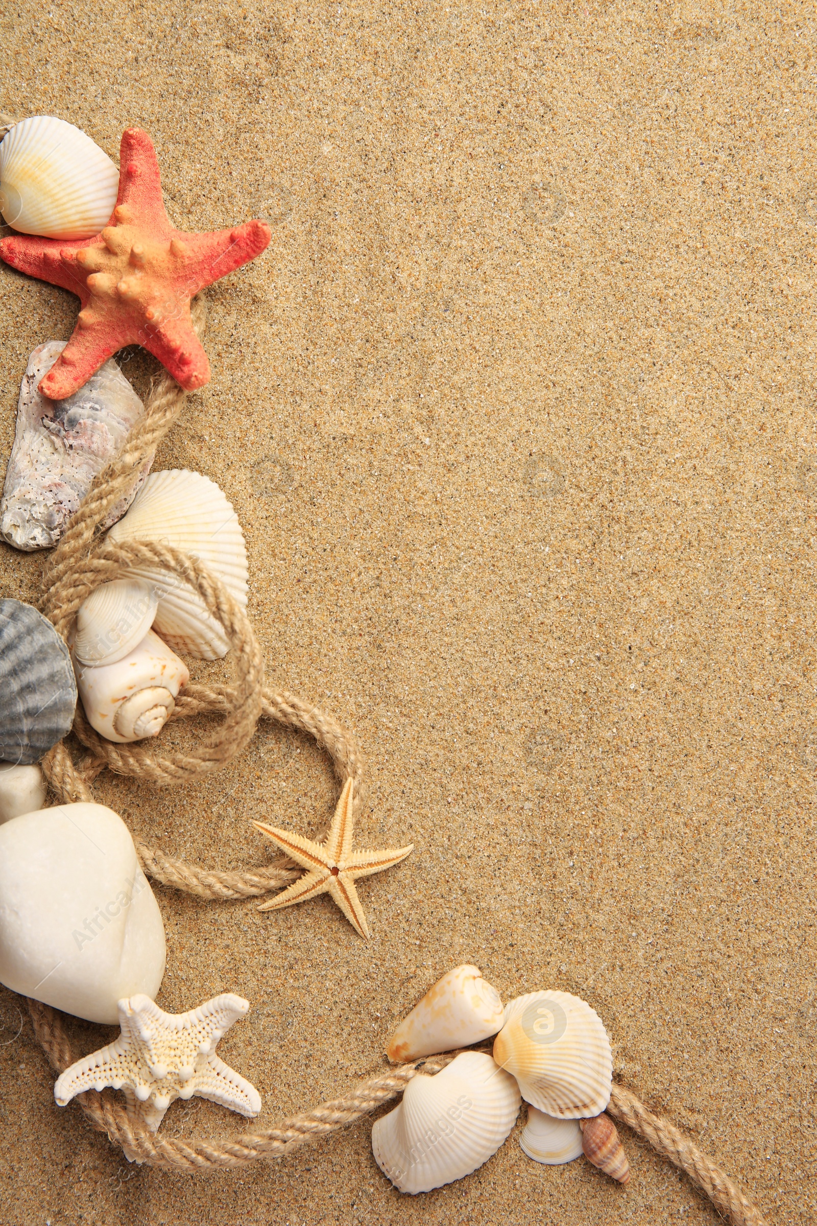 Photo of Beautiful sea stars, shells and rope on sand, flat lay. Space for text