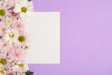 Photo of Beautiful chrysanthemum flowers and blank card on violet background, flat lay. Space for text