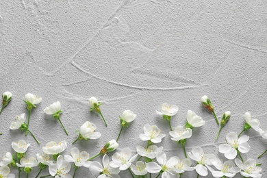 Photo of Beautiful blossoming flowers on grey background