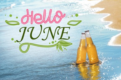 Image of Hello June. Bottles of cool beer in sea water on sunny day