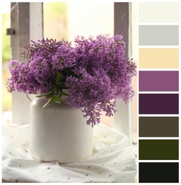Image of Beautiful lilac flowers in vase on window sill indoors and color palette. Collage