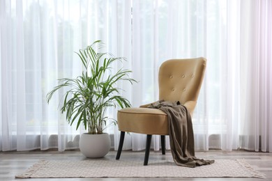 Photo of Comfortable armchair with clothes and beautiful plant near window indoors