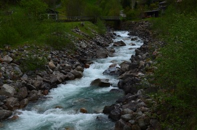 Beautiful view of mountain river running among stones and plants outdoors