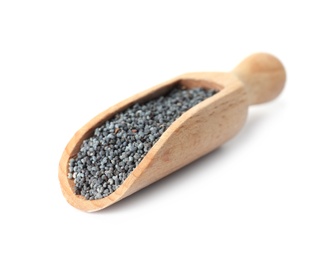 Photo of Poppy seeds in wooden scoop on white background