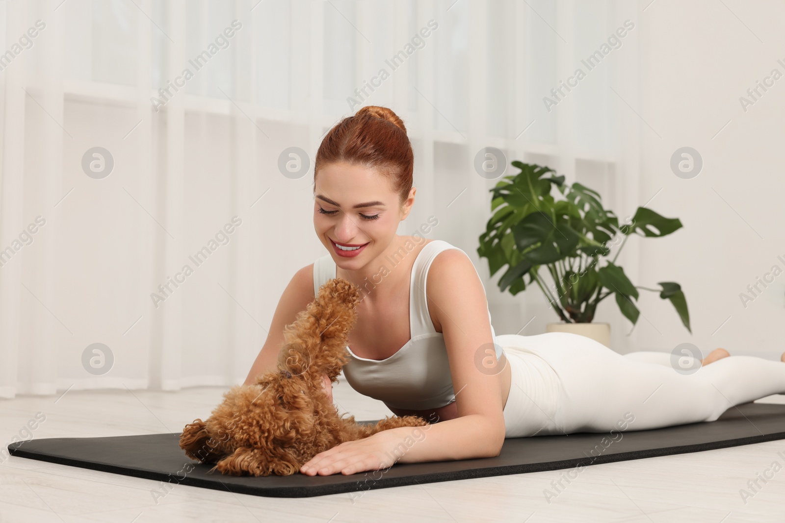 Photo of Happy young woman practicing yoga on mat with her cute dog indoors