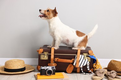 Photo of Travel with pet. Dog, clothes and suitcase indoors