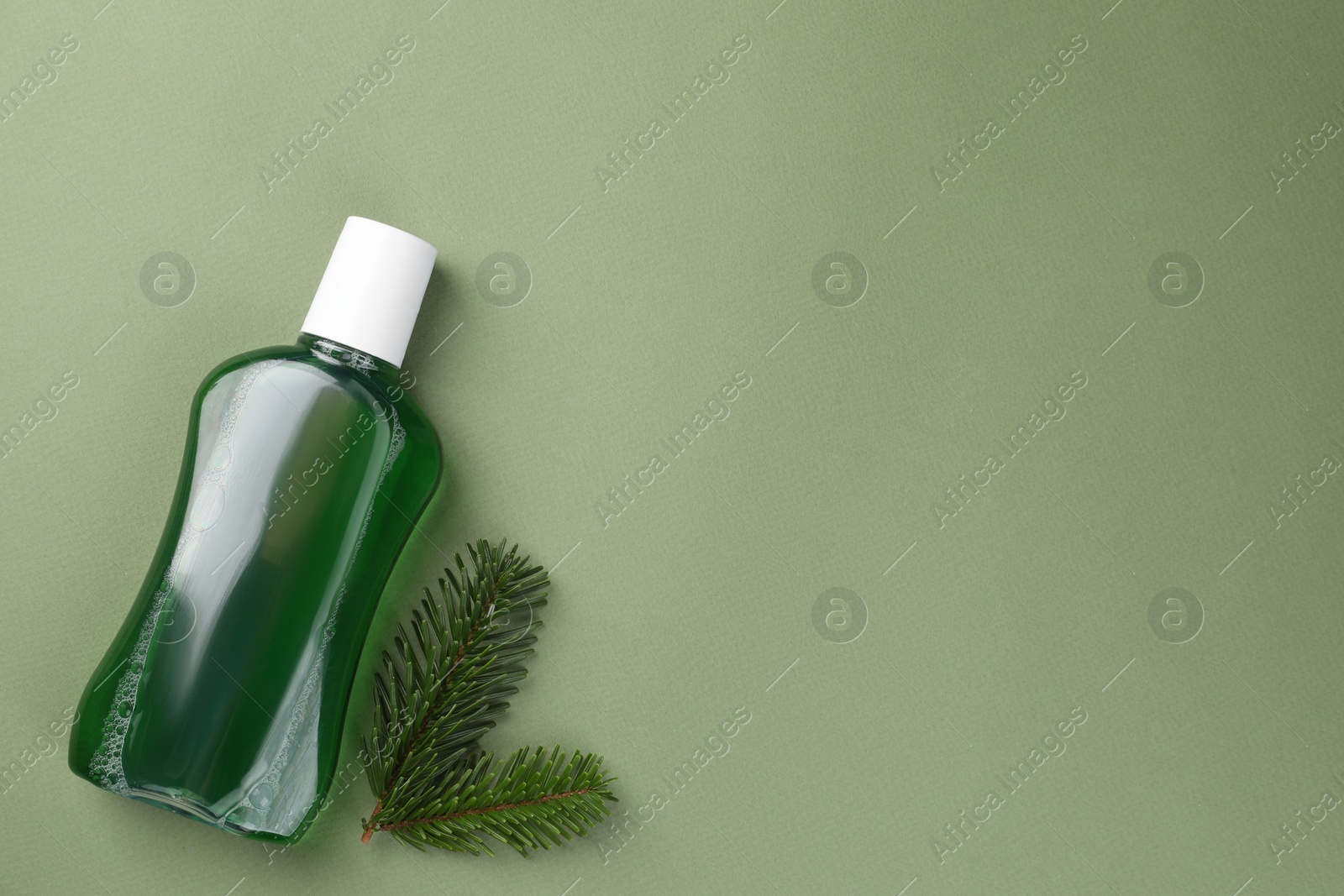 Photo of Fresh mouthwash in bottle and fir branches on green background, top view. Space for text