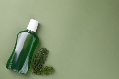 Fresh mouthwash in bottle and fir branches on green background, top view. Space for text