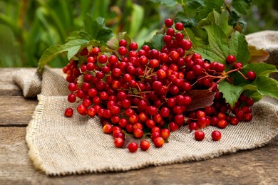 Photo of Branch of viburnum with ripe berries on table outdoors