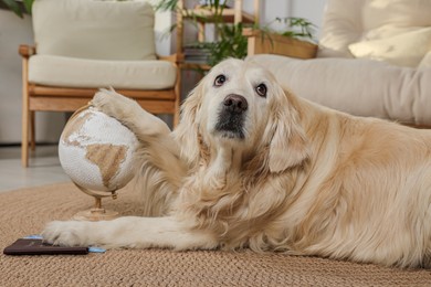 Photo of Cute golden retriever lying near passport, tickets and globe on floor at home. Travelling with pet