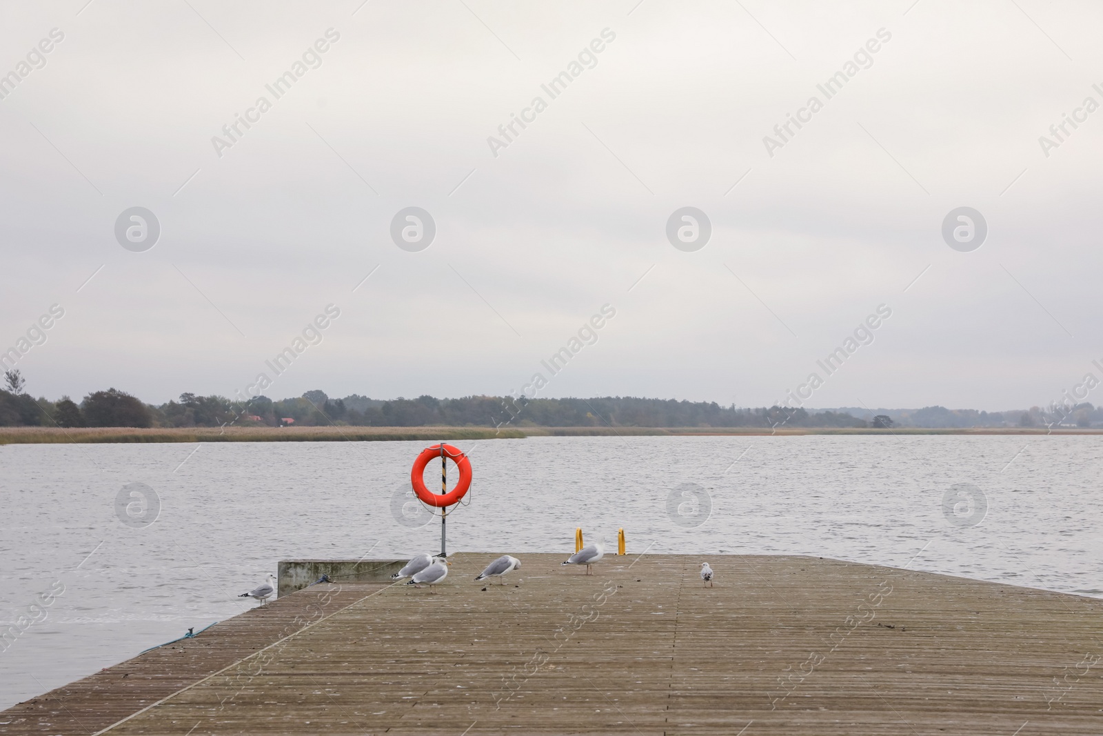 Photo of Wooden pier with seagulls near sea, space for text