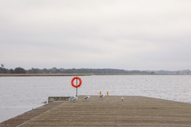 Photo of Wooden pier with seagulls near sea, space for text