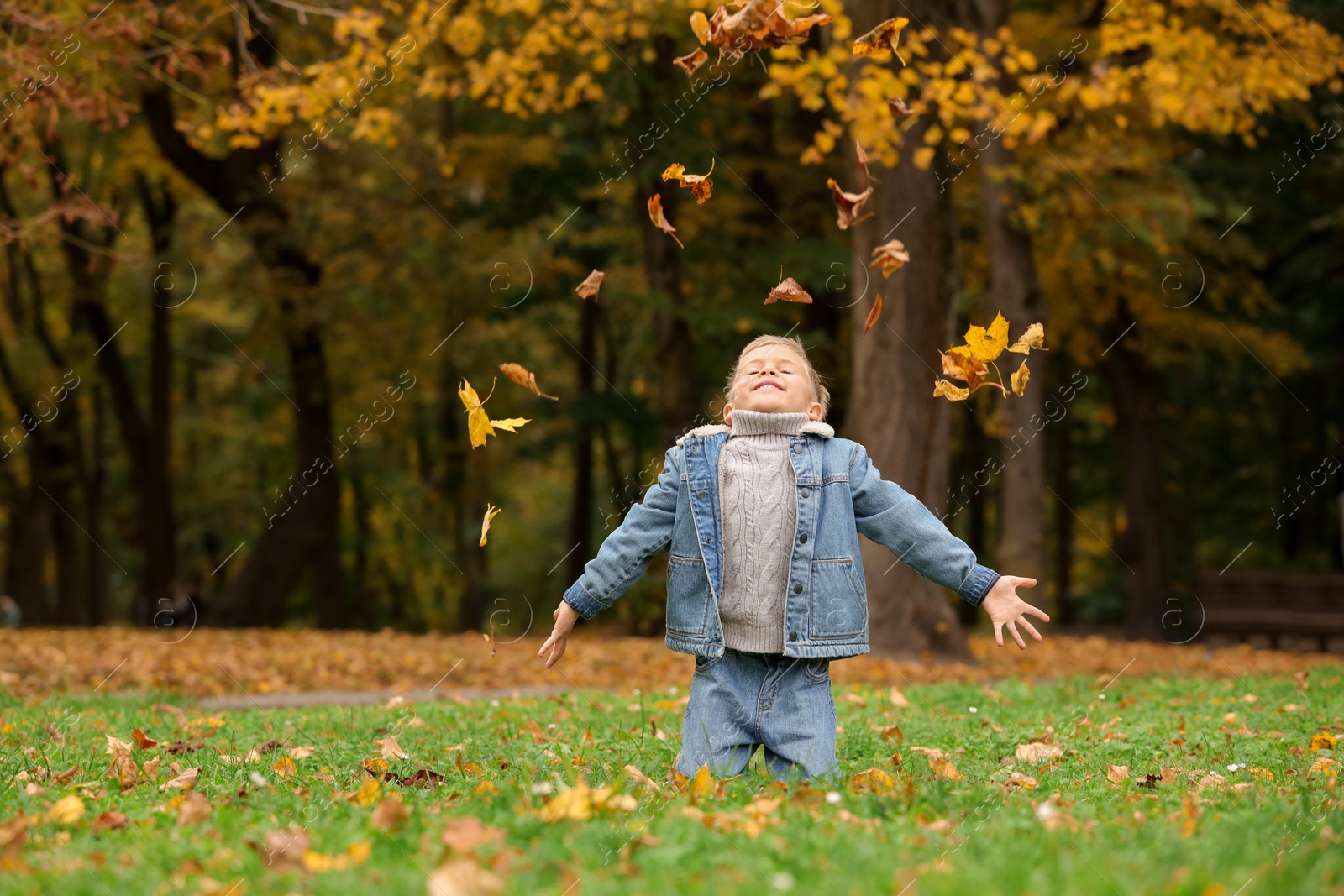 Photo of Happy boy playing with dry leaves on green grass in autumn park