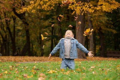 Photo of Happy boy playing with dry leaves on green grass in autumn park