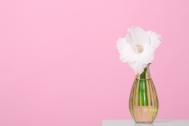 Photo of Vase with beautiful gladiolus flower on wooden table against pink background. Space for text
