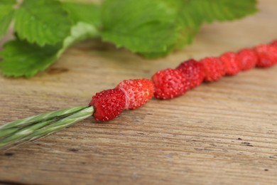 Grass stem with wild strawberries on wooden table, closeup