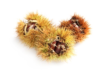 Photo of Fresh sweet edible chestnuts in husk on white background