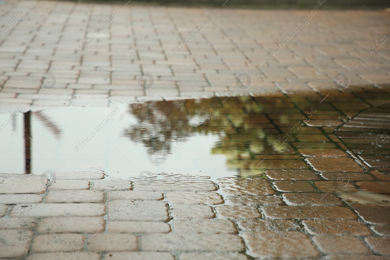 Photo of Puddle after rain on street tiles outdoors, closeup