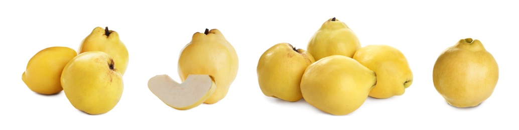 Image of Set of delicious ripe quinces on white background. Banner design