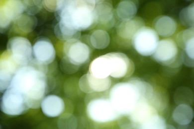 Blurred view of green trees outdoors. Bokeh effect