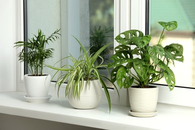 Different potted houseplants on white window sill