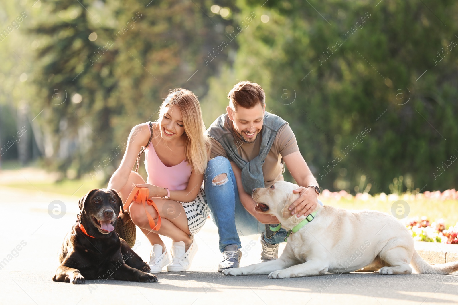Photo of Cute labrador retrievers with owners outdoors on sunny day