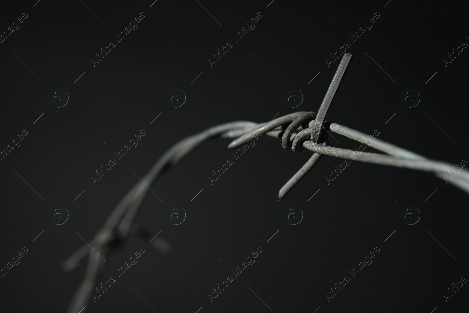 Photo of Metal barbed wire on dark grey background, closeup