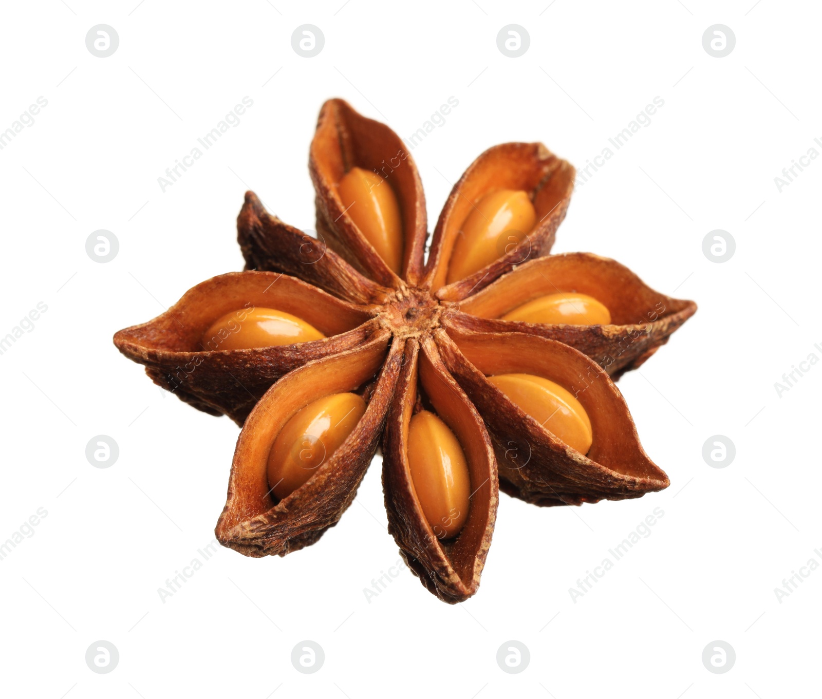 Photo of Dry anise star with seeds isolated on white