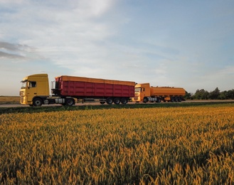 Photo of Modern bright trucks on road near wheat field