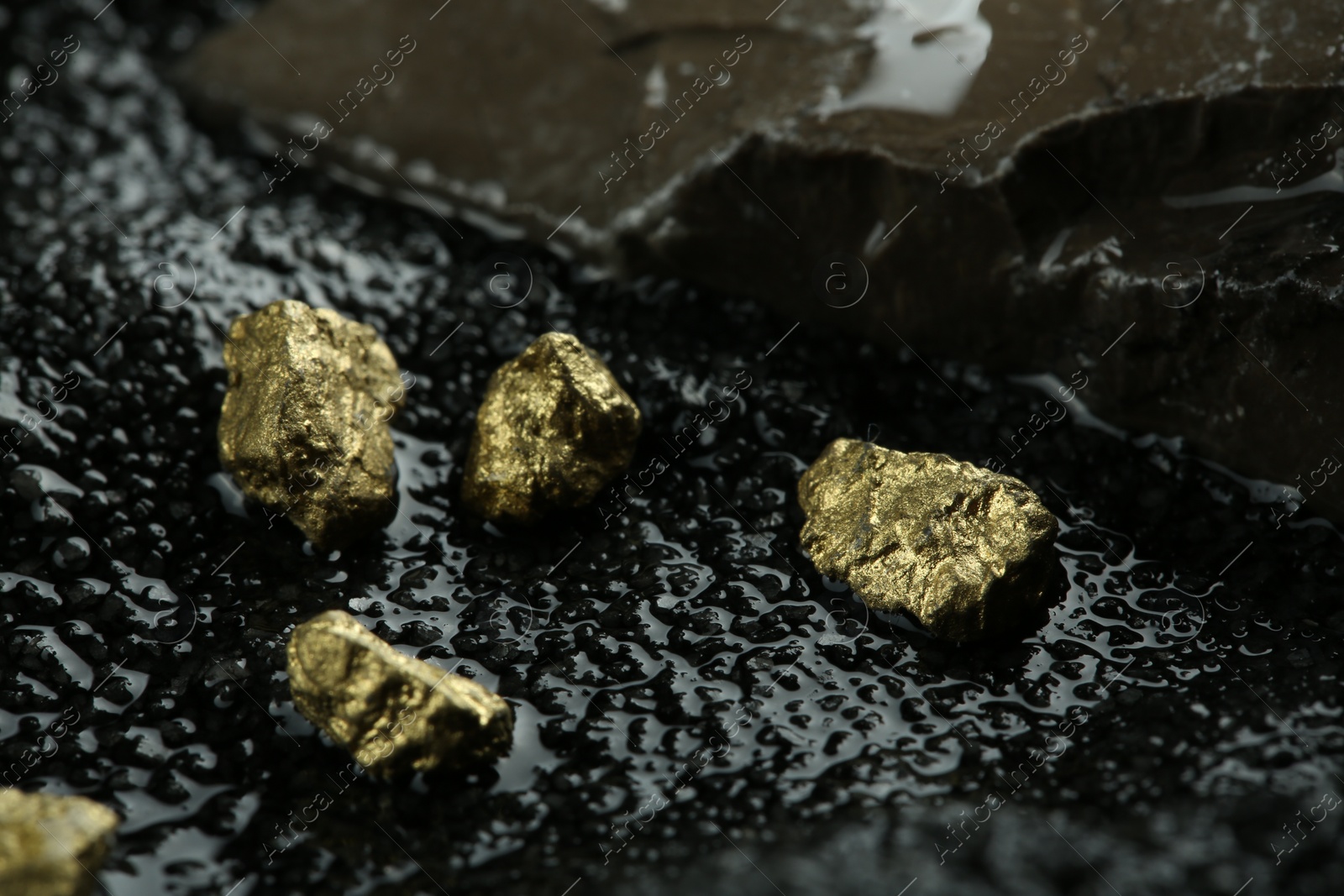 Photo of Shiny gold nuggets on wet stones, closeup