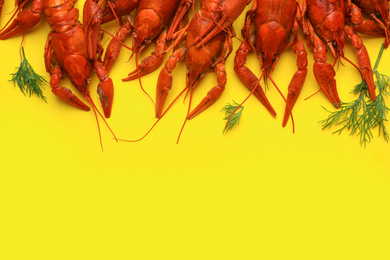 Photo of Delicious boiled crayfishes and dill on yellow background, flat lay. Space for text