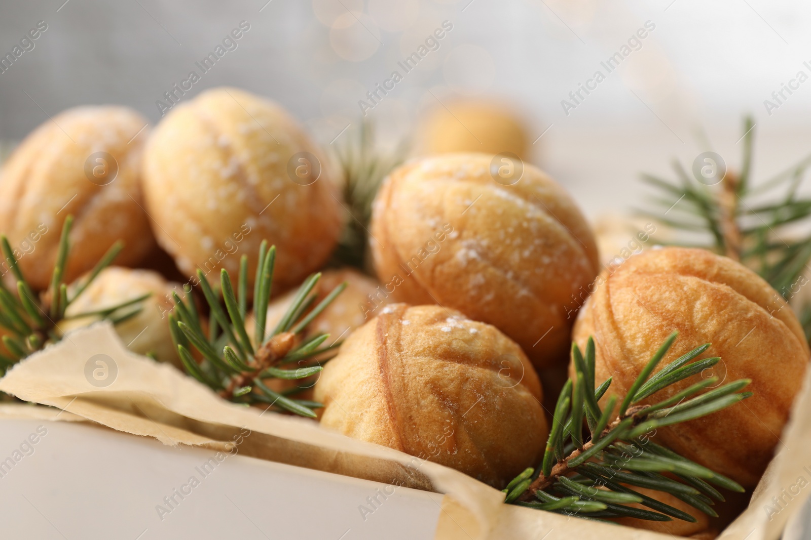 Photo of Homemade walnut shaped cookies and fir branches in box, closeup