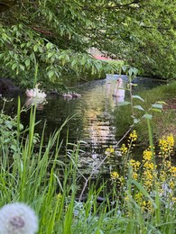 Photo of Swans with cygnets swimming in river outdoors