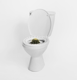 Photo of Toilet bowl with pins and cactus on white background. Hemorrhoids concept