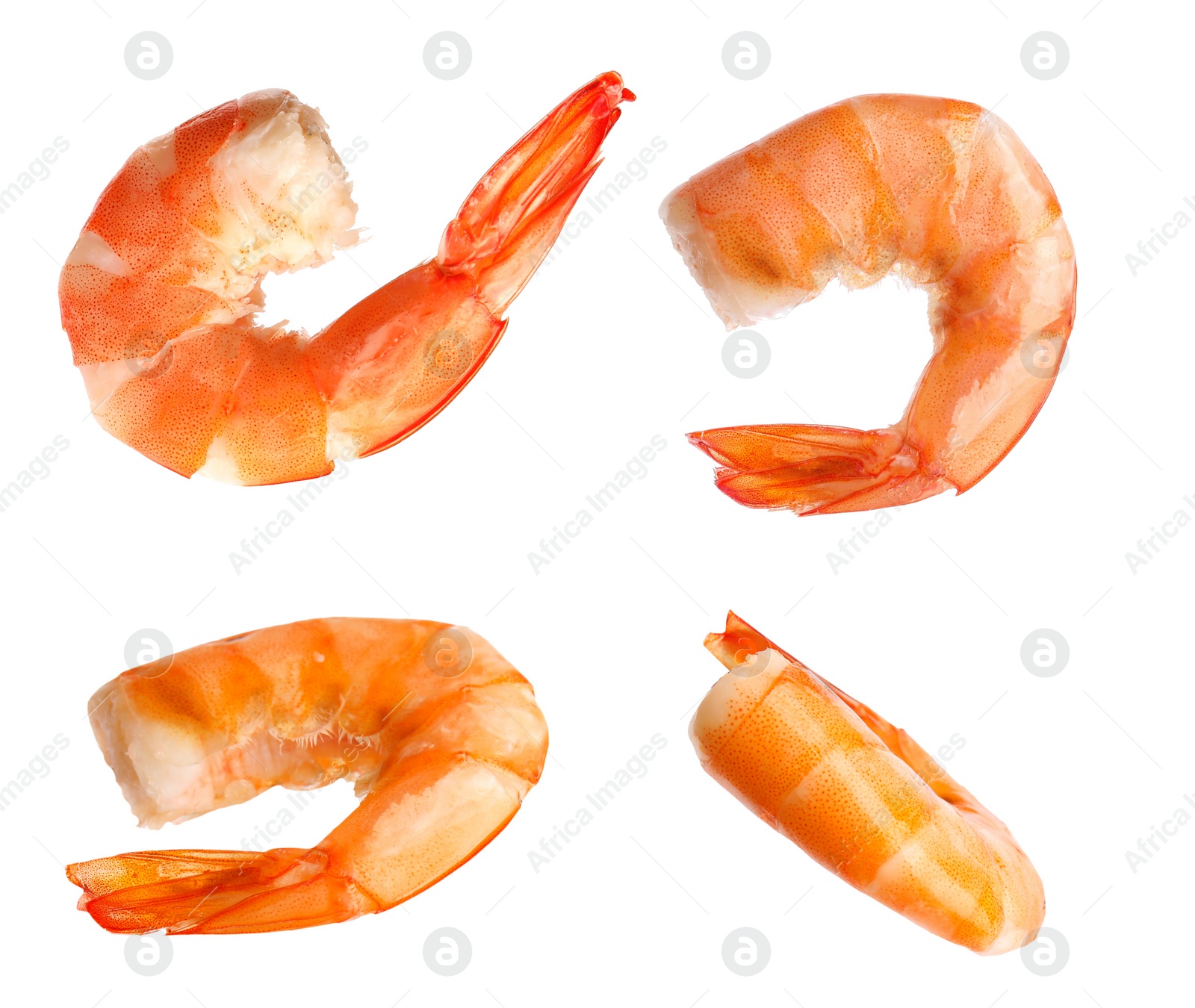 Image of Set of delicious freshly cooked shrimps on white background