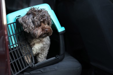 Photo of Cute dog in pet carrier travelling by car, space for text. Safe transportation