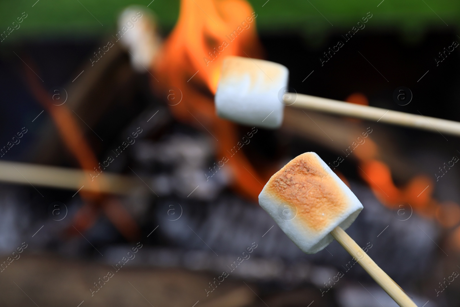 Photo of Delicious puffy marshmallows roasting over bonfire, closeup. Space for text