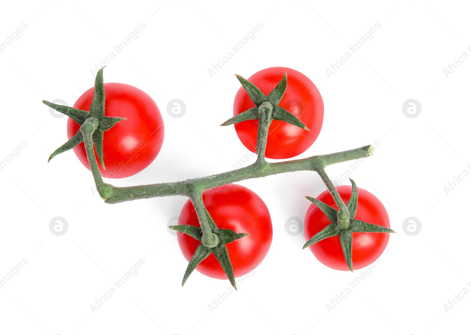 Photo of Branch of red ripe cherry tomatoes isolated on white, top view