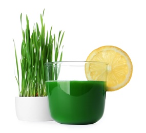 Photo of Glass of wheat grass juice served with slice of lemon and sprouts on white background