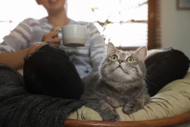 Young woman with cute cat on armchair at home. Pet and owner