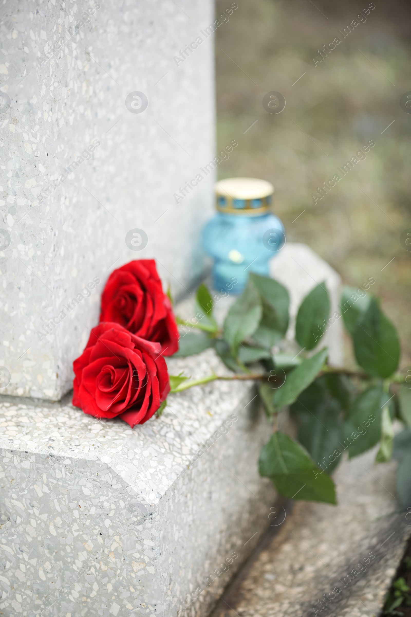 Photo of Red roses on old grey tombstone outdoors. Funeral ceremony