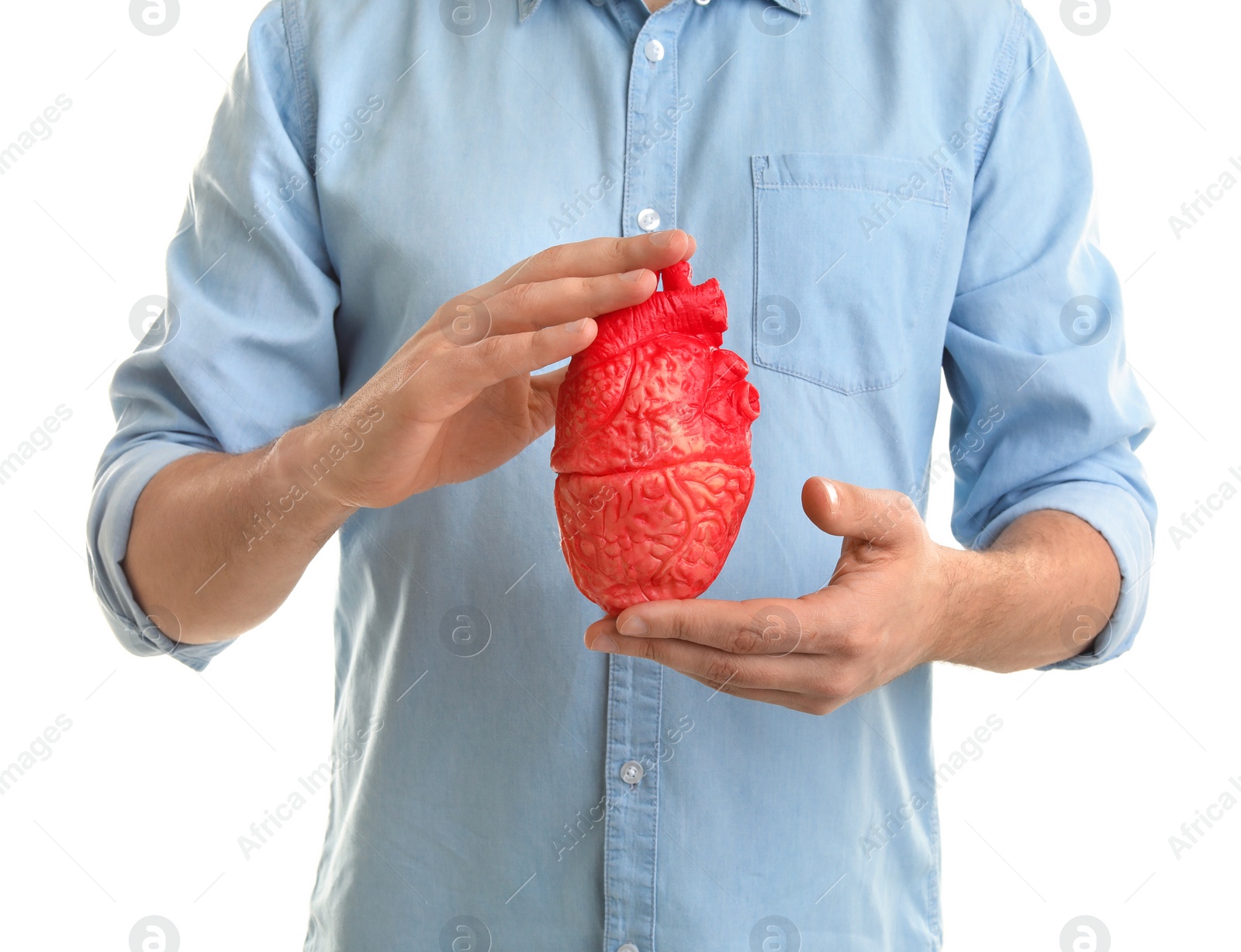 Photo of Man holding model of heart on white background. Heart attack concept