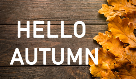 Image of Text Hello Autumn and golden leaves on wooden background, top view