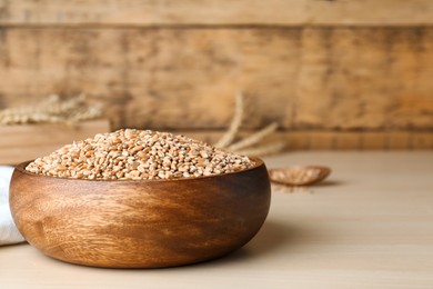 Photo of Bowl of wheat grains on white wooden table, closeup. Space for text