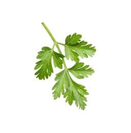 Leaves of fresh tasty parsley on white background, top view