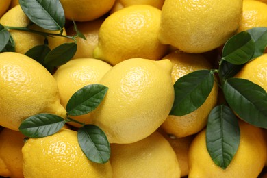 Photo of Fresh lemons and green leaves as background, top view